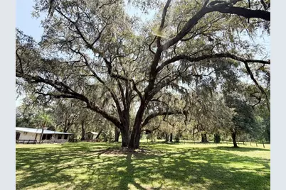 28622 N State Road 121, Alachua, FL 32615 - Photo 31