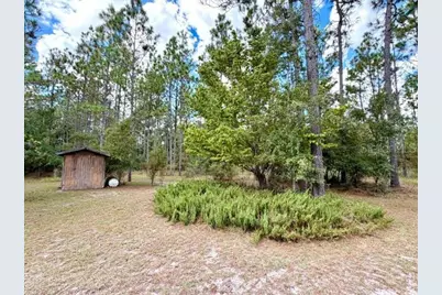 4850 NW 55th Avenue, Bell, FL 32619 - Photo 5