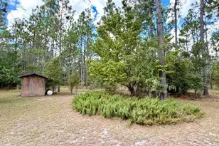4850 NW 55th Ave, Bell, FL 32619 - Photo 5