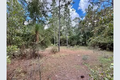 4850 NW 55th Avenue, Bell, FL 32619 - Photo 27
