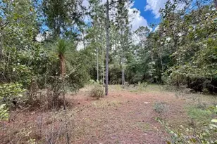 4850 NW 55th Ave, Bell, FL 32619 - Photo 27