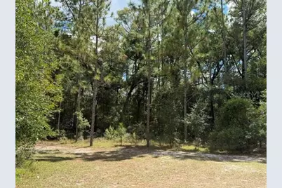 4850 NW 55th Avenue, Bell, FL 32619 - Photo 35