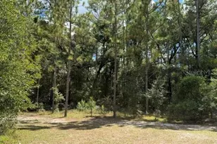 4850 NW 55th Ave, Bell, FL 32619 - Photo 35