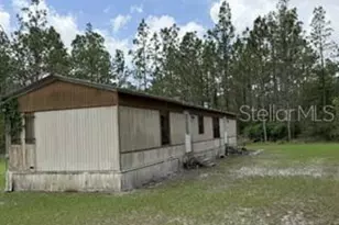 4890 NW 55th Ave, Bell, FL 32619 - Photo 5