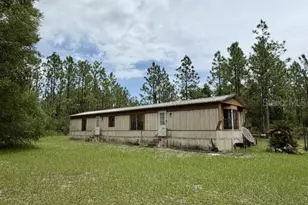 4890 NW 55th Ave, Bell, FL 32619 - Photo 7