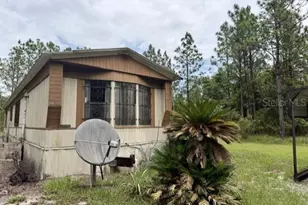 4890 NW 55th Ave, Bell, FL 32619 - Photo 9