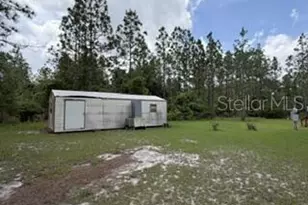 4890 NW 55th Ave, Bell, FL 32619 - Photo 11