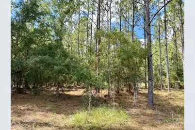 4890 NW 55th Avenue, Bell, FL 32619 - Photo 15