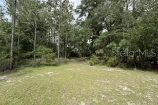 4890 NW 55th Ave, Bell, FL 32619 - Photo 21