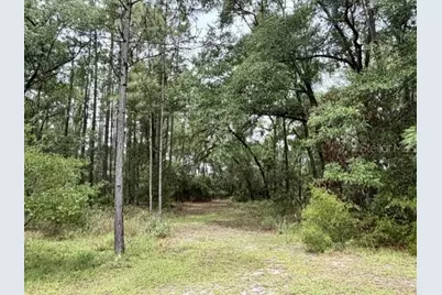 4890 NW 55th Avenue, Bell, FL 32619 - Photo 13