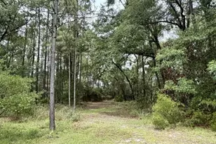 4890 NW 55th Ave, Bell, FL 32619 - Photo 13