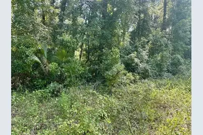 Ne 597th Street, Old Town, FL 32680 - Photo 5