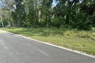 NE 597th St, Old Town, FL 32680 - Photo 1