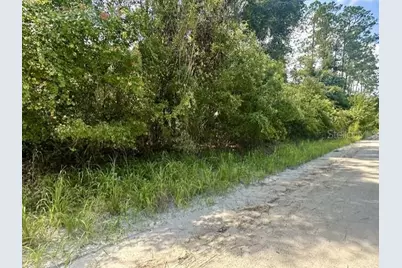 Ne 796th Street, Old Town, FL 32680 - Photo 3