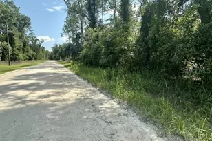NE 796th St, Old Town, FL 32680 - Photo 1