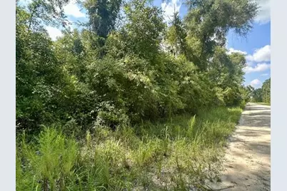 Ne 796th Street, Old Town, FL 32680 - Photo 5