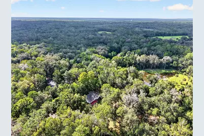 9350 NW 230 Street, Micanopy, FL 32667 - Photo 83