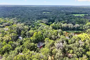 9350 NW 230th St, Micanopy, FL 32667 - Photo 83