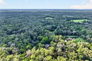 9350 NW 230th St, Micanopy, FL 32667 - Photo 91