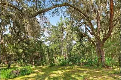 9350 NW 230 Street, Micanopy, FL 32667 - Photo 77