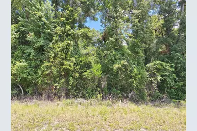 Tbd N Hwy 19, Chiefland, FL 32626 - Photo 3