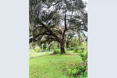 36910 Sunshine Road, Zephyrhills, FL 33541 - Photo 3