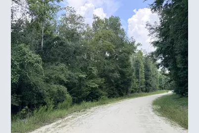 0 NE 756 Street, Old Town, FL 32680 - Photo 3