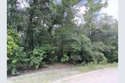 0 NE 756 Street, Old Town, FL 32680 - Photo 1