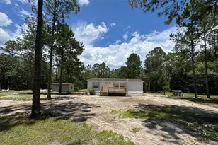 7420 NE 111th Pl, Gainesville, FL 32609 - Photo 19