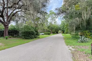 1815 NE 7th St, Gainesville, FL 32609 - Photo 23