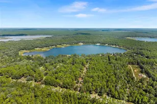 1416 Baden Powell Rd, Hawthorne, FL 32640 - Photo 43