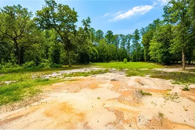 261 Ashley Lake Drive, Melrose, FL 32666 - Photo 5