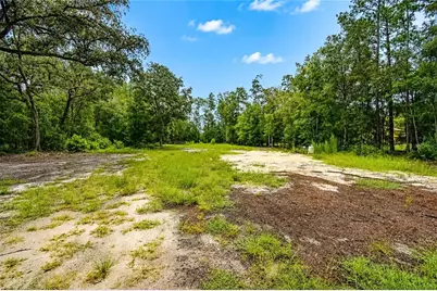 261 Ashley Lake Drive, Melrose, FL 32666 - Photo 3
