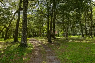 16350 NE 53rd Ln, Williston, FL 32696 - Photo 59