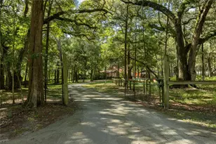 16350 NE 53rd Ln, Williston, FL 32696 - Photo 61