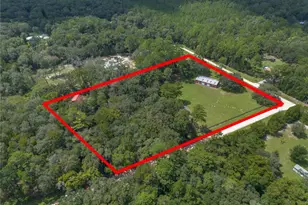 16350 NE 53rd Ln, Williston, FL 32696 - Photo 69