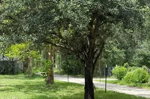 14236 SW 76th Way, Lake Butler, FL 32054 - Photo 25