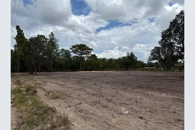 Tbd NE 88th Lane, Bronson, FL 32621 - Photo 5