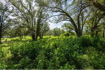 239 SW Candi Court, Fort White, FL 32038 - Photo 3