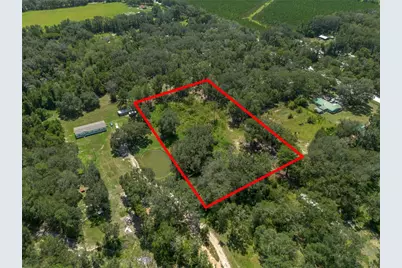 239 SW Candi Court, Fort White, FL 32038 - Photo 5