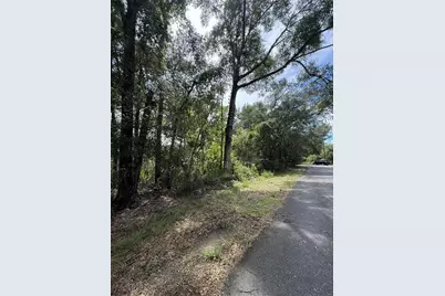 Lake Avenue, Fanning Springs, FL 32693 - Photo 5