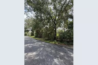 Lake Avenue, Fanning Springs, FL 32693 - Photo 7