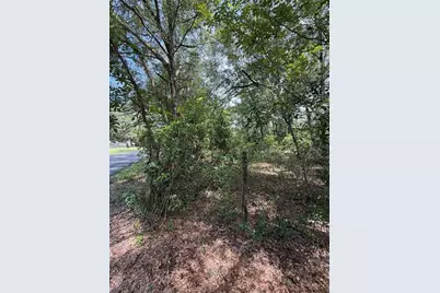Lake Avenue, Fanning Springs, FL 32693 - Photo 9