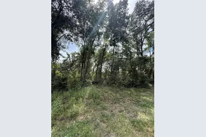 Lake Avenue, Fanning Springs, FL 32693 - Photo 3