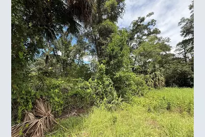 9850 Kentucky Avenue, Fanning Springs, FL 32693 - Photo 3