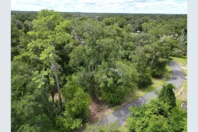 7739 Lake Avenue, Fanning Springs, FL 32693 - Photo 3