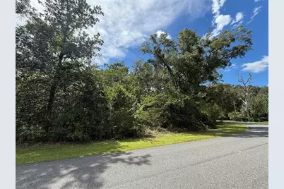 7739 Lake Avenue, Fanning Springs, FL 32693 - Photo 9