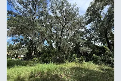 7739 Lake Avenue, Fanning Springs, FL 32693 - Photo 5