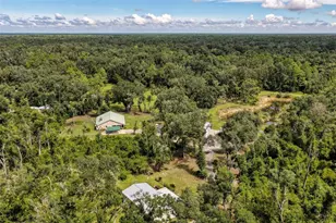 303 NE 290th Ave, Old Town, FL 32680 - Photo 69