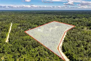 305 NE 290th Ave, Old Town, FL 32680 - Photo 19